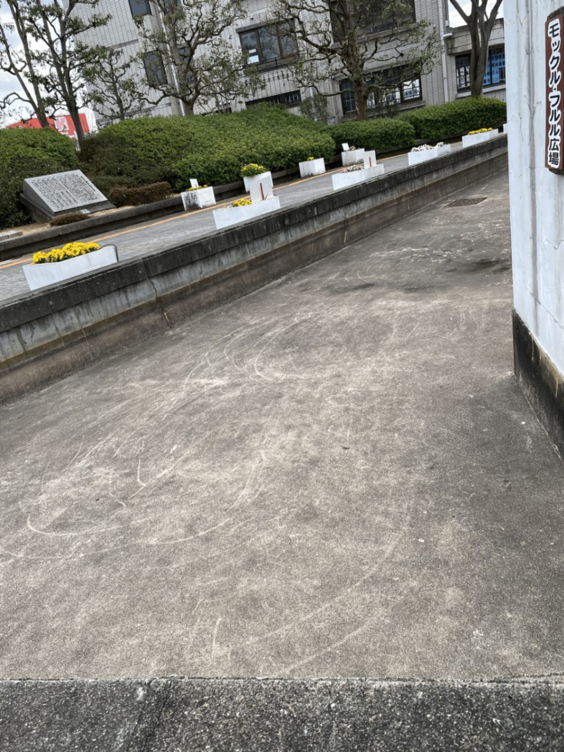 アップロードされた画像